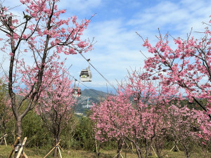 （圖／台北市大地處提供）