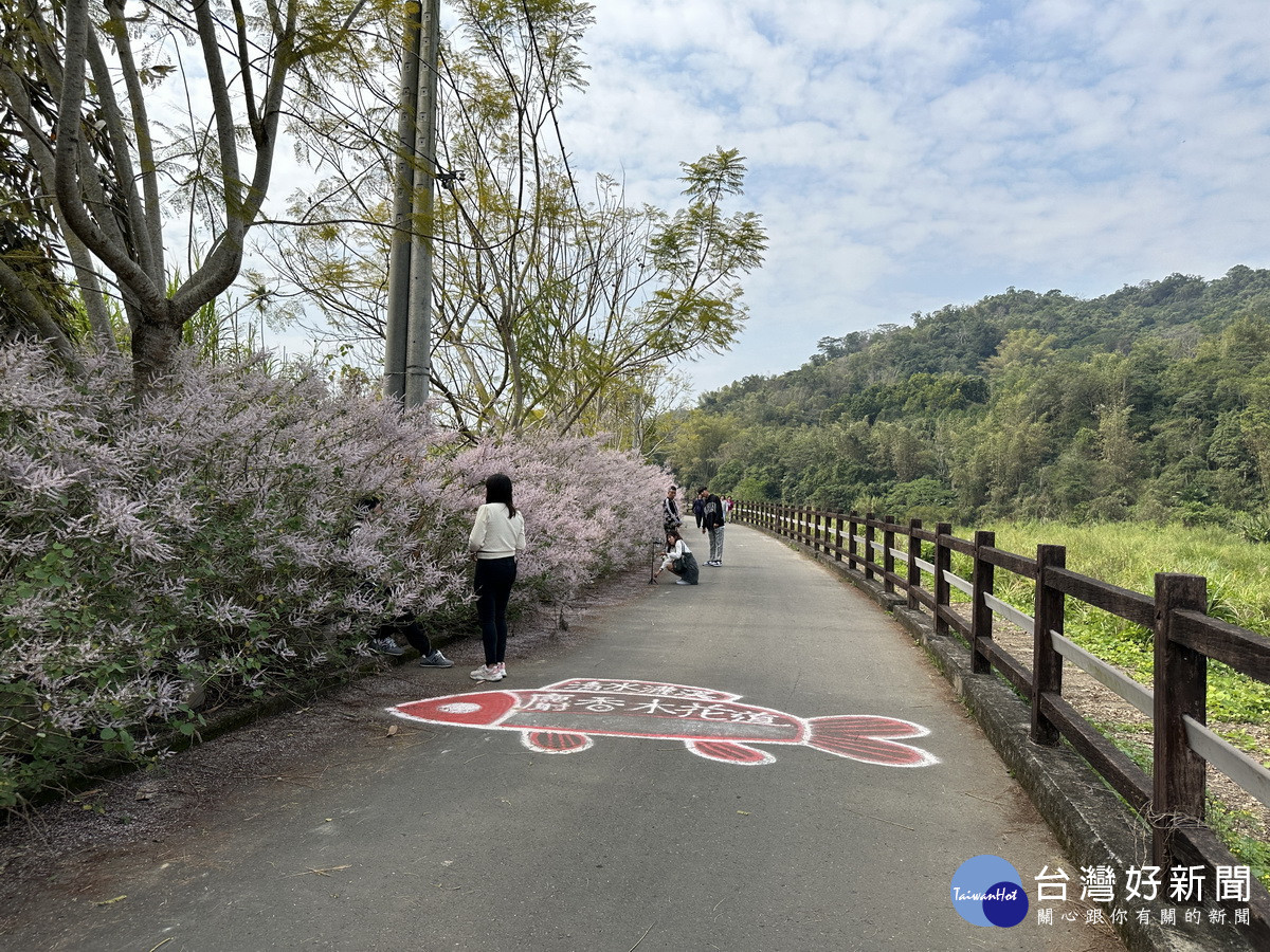 此處花道分為三區。（記者扶小萍攝）