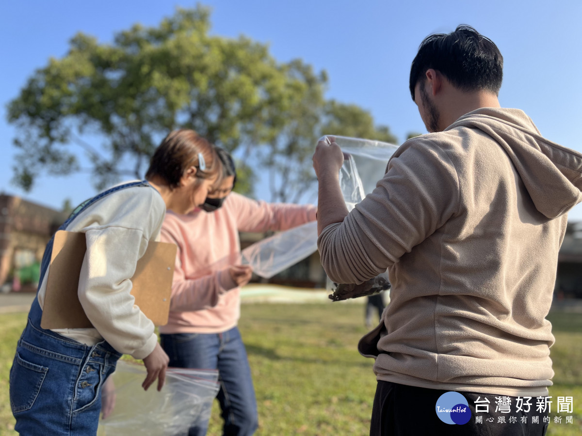 實際操作認識草地上的昆蟲