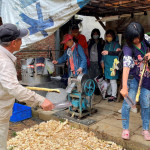 113年竹塹舊城自然人文體驗解說活動資料照片
