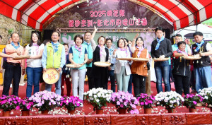 彰化八卦山脈油桐花盛開，浪漫推出桐遊彰化小旅行。圖記者鄧富珍攝
