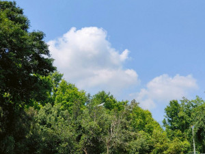 （圖／陳一村攝）