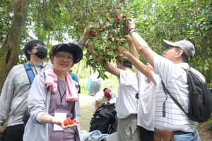 中華大學土木工程學系陳湘媛教授（左）身兼計畫共同主持人，帶領大家進入棄耕茶園。