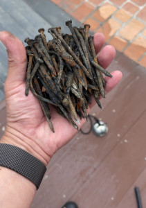 大安濱海樂園沙灘撿拾的鐵釘