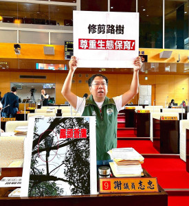 謝志忠議員要求市府修剪路樹，應兼顧生態保育。