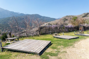 望向芸端露營場