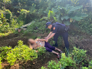 失智老婦清晨倒臥田埂旁，平鎮警及時救援助返家。