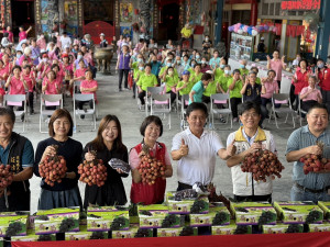 馬立委與議員簡鎮長等都來行銷草屯荔枝葡萄。（縣府提供）