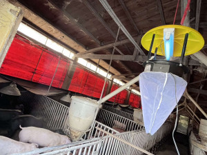 雲林縣出現今年首例日本腦炎病例，衛生局已於周邊豬舍懸掛誘蚊燈及加強民眾衛教宣導／翻攝照片