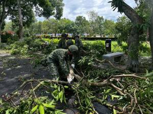 雲林古坑綠色隧道全長約2公里路面散落大量樹枝，另有約7至8棵大型芒果樹傾倒，影響道路通行，縣府民政處今早協請國軍助古坑公所加速清理復原工作／翻攝照片