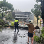 颱風天路樹倒塌，楊梅警冒雨協助排除。