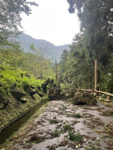 臺大實驗林再公告休園二日。（森林邦提供）