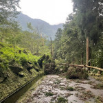 臺大實驗林再公告休園二日。（森林邦提供）