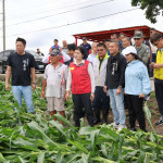 雲林縣長張麗善與立委丁學忠、張嘉郡，聯同農糧署中區分署長陳尚仁、台南區農業改良場雲林分場長黃瑞彰前往勘災／翻攝照片
