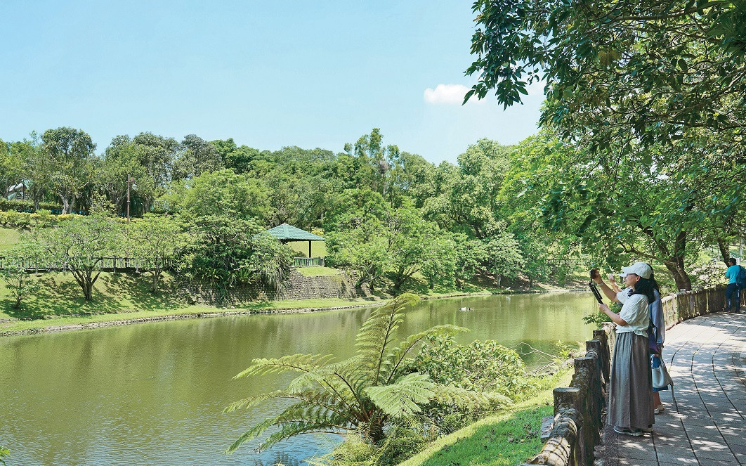 夏日漫遊南港公園，親近都市中的水畔綠地。（攝影／楊弘熙）