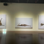 臺東美術館特展《你見過的風景我走過》閉展倒數　請把握最後觀展機會