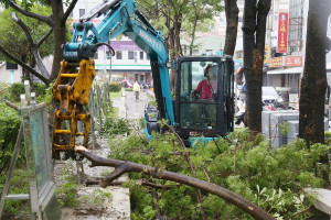 嘉義市府繼7月10日搶通全市主、次要幹道後，進入綠化帶傾倒樹木去化作業，預計7月16日將完成全面去化／嘉義市府提供