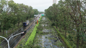 丹娜絲颱風重創嘉義市，全市公園除嘉義公園與都會森林公園外，其餘36處公園清運將於7月底前完成／嘉義市政府提供