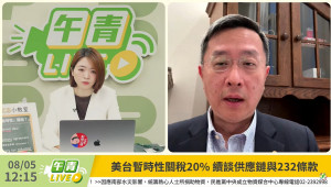 （圖／翻攝自民主進步黨YouTube直播）