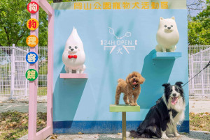 （圖／高雄市府工務局公園處岡山維護工程隊）