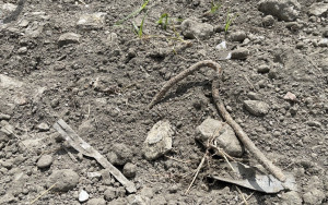 嘉義縣朴子市2筆土地疑遭非法回填營建廢棄物／嘉義縣環保局提供
