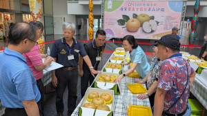 評審委員仔細品評