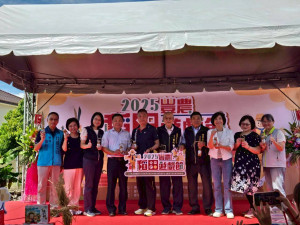 2025豐農稻田遊戲節。