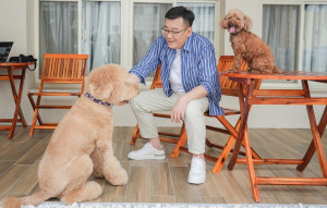 保障毛小孩，許修睿制定新竹市動物保護自治條例。