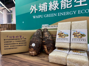 園區副產物沼液循環再利用，施灌栽種友善環境米及芋頭成品