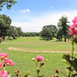 （圖／高雄市府公園處綜合企劃科）