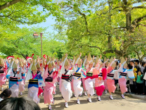 五十人大型舞團身著華麗服飾，隨著鼓聲與拍手節奏展現充滿生命力的舞姿。