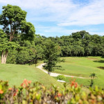 （圖／高雄市府工務局公園處）