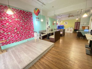 嘉義市府攜手米克斯寵物友善餐廳，打造幸福認養新據點／嘉義市府提供