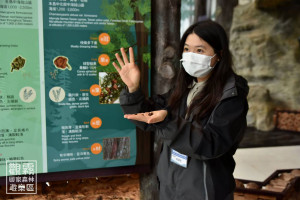 在專業解說員的帶領下，透過館內導覽認識觀霧森林的樹木組成與生態故事（森之形自然教育團隊提供；陳柏璋攝）