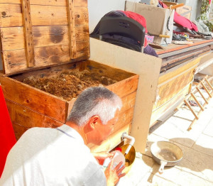 里辦公室廚餘箱。