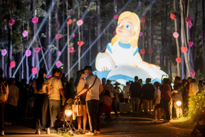 「2025嘉義市光織影舞」圓滿落幕，16天展期吸引超過105.8萬人次參觀，創下歷年新高／嘉義市府提供