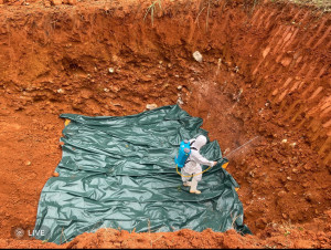 中市府啟動防疫機制，連夜緊急動員相關人力進行預防性撲殺195頭豬隻。