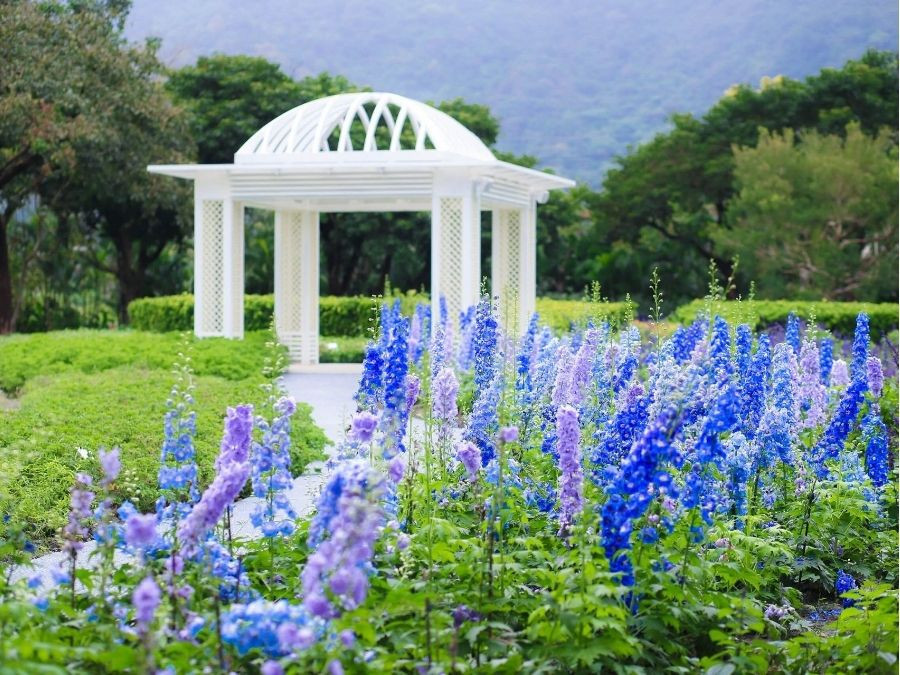 花蓮秧悦美地香草宮花園,漫步在香草小徑,放鬆身心、嗅聞芬芳。蜿蜒綠意中,尋找屬於你的療癒時光。