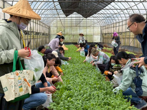 桃園環保局推創意行銷工作坊。