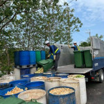 列管事業以外廚餘由清潔隊清運集中後,統一送至環保局廚餘處理廠。