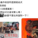 有民眾在網路透過文字及圖片指稱「嘉義市收容所撲殺幼犬」/陳致愷翻攝