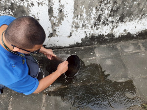 為防範登革熱疫情擴散，環保局呼籲務必落實居家環境整潔與積水容器清理／嘉義市府提供