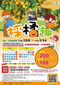 太平柑橘有夠讚!
太平採柑橘。林重鎣翻