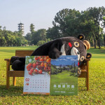 （圖／高雄市府新聞局）