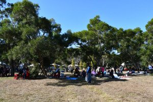 野餐趴活動在廣達2千多坪的大草原上舉行。圖／彰化市公所提供