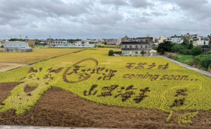 苑裡鎮農會從農業推廣逐漸發展綠色旅遊，每年的彩繪稻田更是吸引大批遊客前來。（圖/苗栗縣政府）