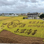 苑裡鎮農會從農業推廣逐漸發展綠色旅遊，每年的彩繪稻田更是吸引大批遊客前來。（圖/苗栗縣政府）