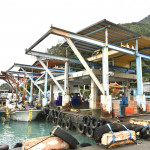 （圖／宜蘭縣府農業處）