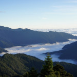 合歡山森林遊樂區賞雲海。（林保署南投分署提供）