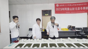 2025冬季阿里山狀元茶競賽結果出爐／嘉義縣府提供